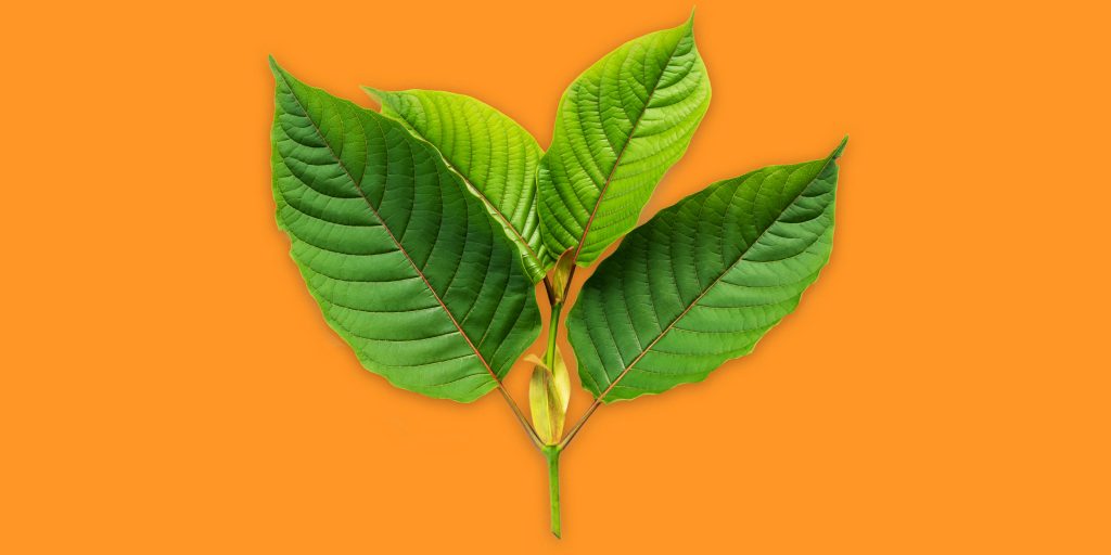 Kratom Strains